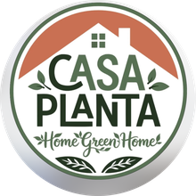 Casa Planta